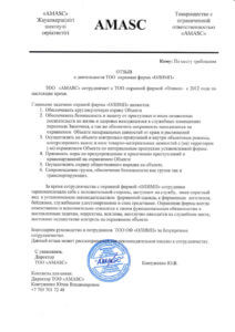 АМАСК (копия)
